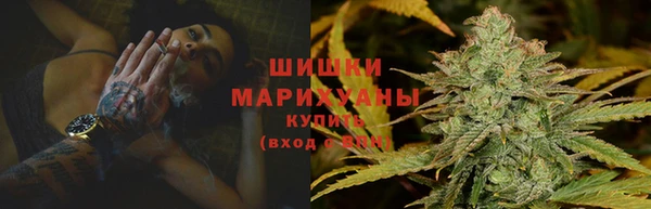 гашик Вяземский