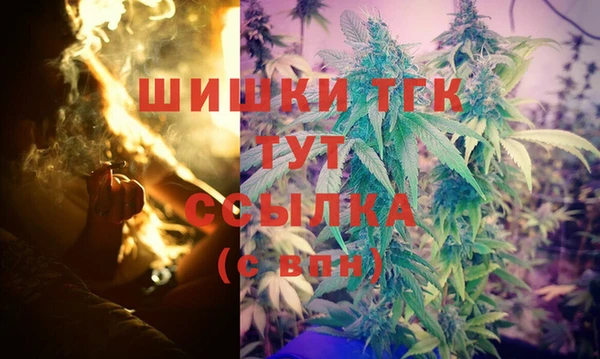 гашик Вяземский