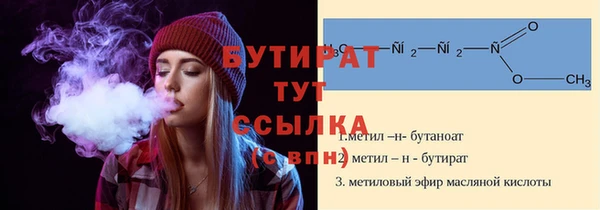 гашик Вяземский