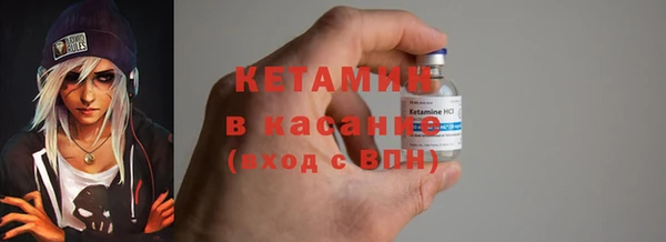 гашик Вяземский