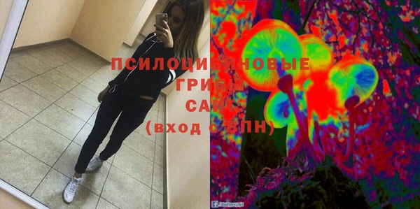 гашик Вяземский