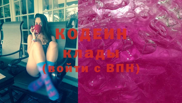 гашик Вяземский