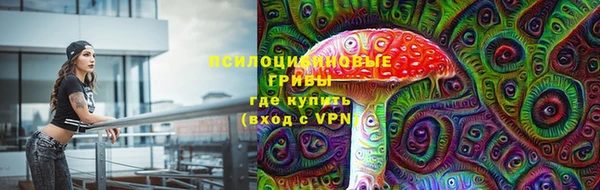 ПСИЛОЦИБИНОВЫЕ ГРИБЫ Горнозаводск