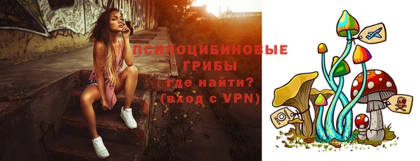 твердый Вязьма