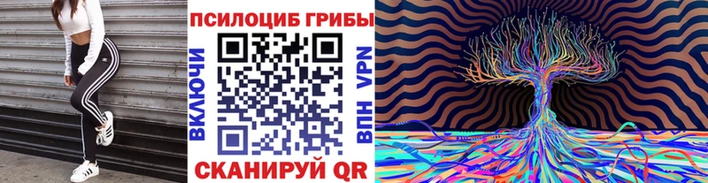 Псилоцибиновые грибы Magic Shrooms  Закаменск 