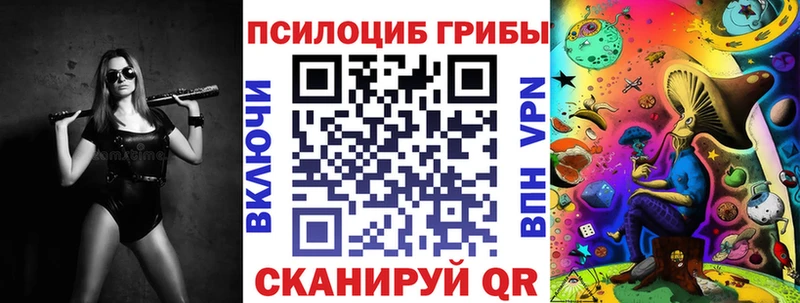Псилоцибиновые грибы Psilocybine cubensis Закаменск